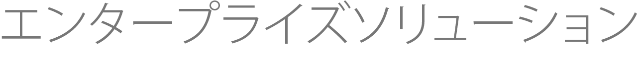 エンタープライズソリューション